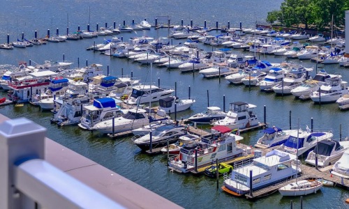 a marina full of boats