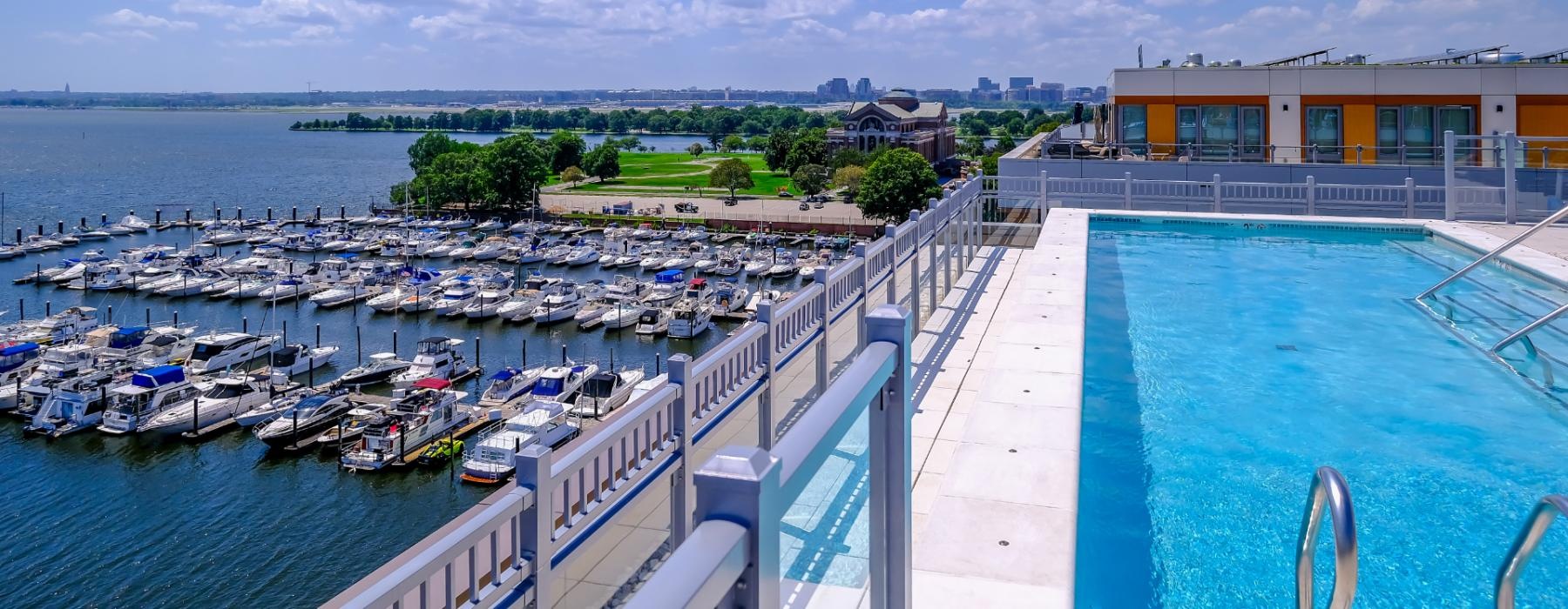 rooftop pool with marina views