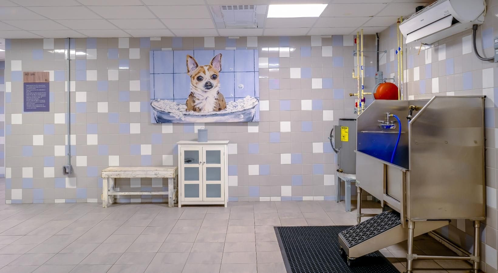 Riverpoint is a pet-friendly community! large and bright dog wash room